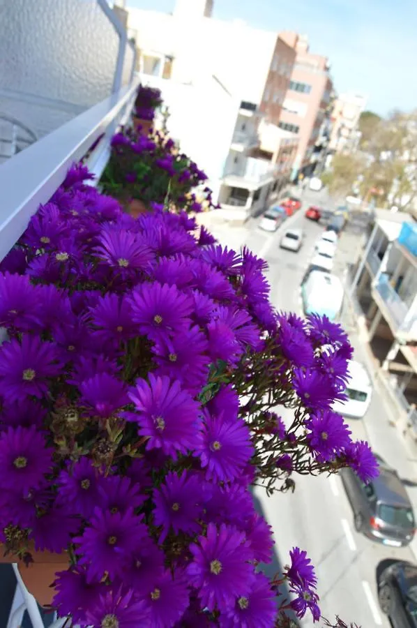 Hostal Mar Del Plata (Adults Only) El Arenal  Gasthof