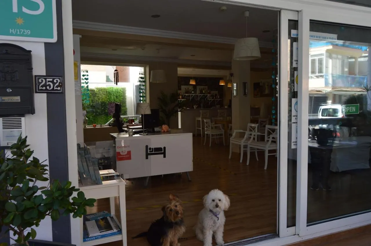 Hostal Mar Del Plata (Adults Only) El Arenal  Espagne