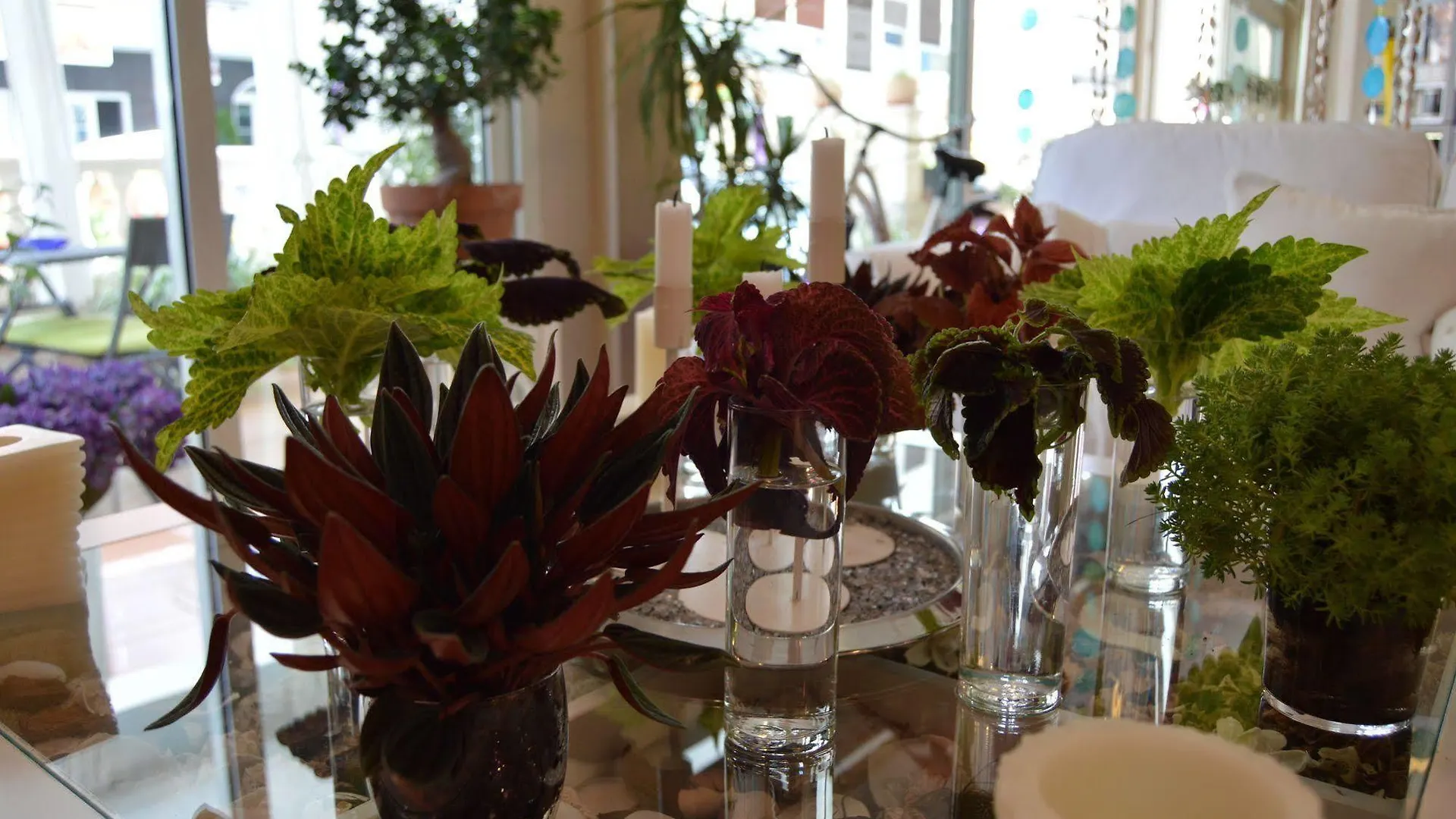 Couette-café Hostal Mar Del Plata (Adults Only) El Arenal