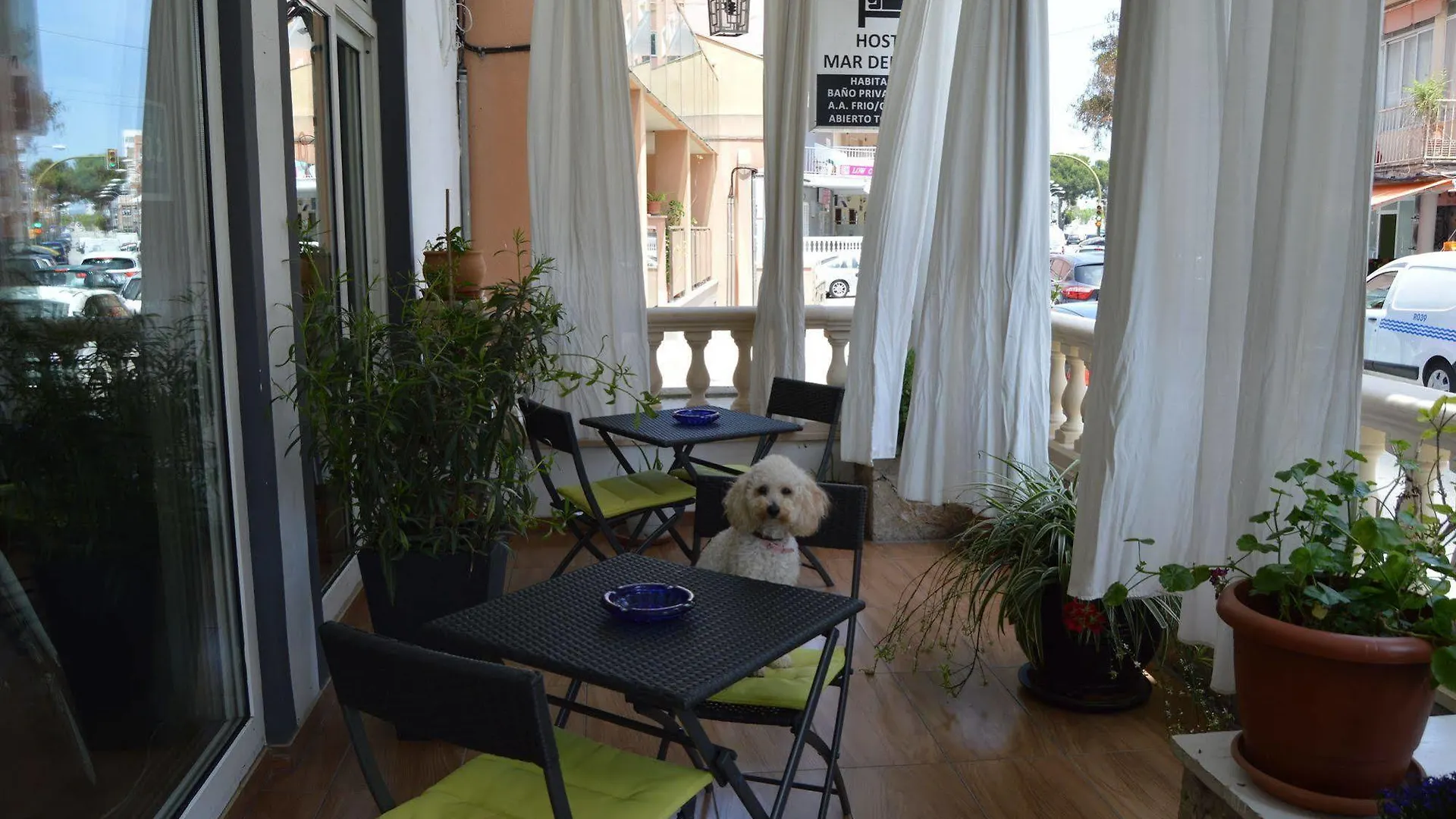 Hostal Mar Del Plata (Adults Only) El Arenal  El Arenal (Mallorca)